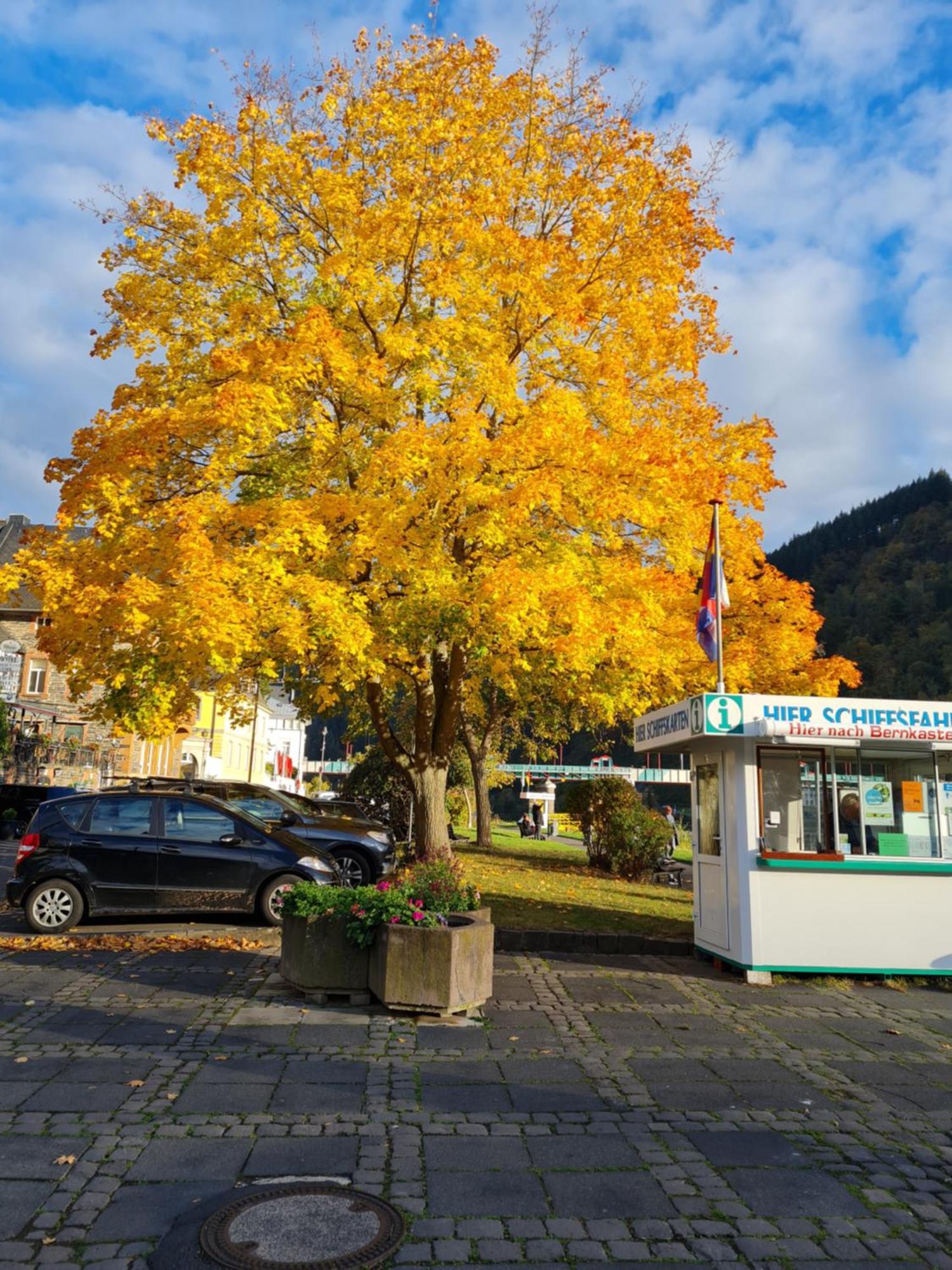 Ferienhaus Take It Easy Villa Traben-Trarbach Kültér fotó